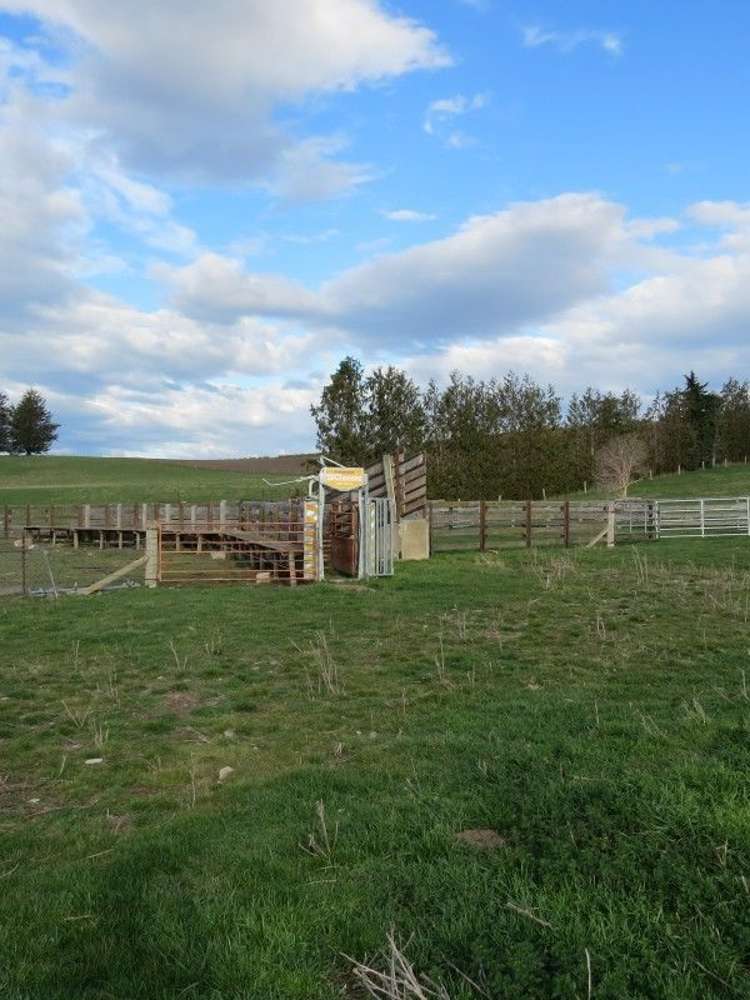 649 Kauru Hill Road Five Forks and Surrounds_18