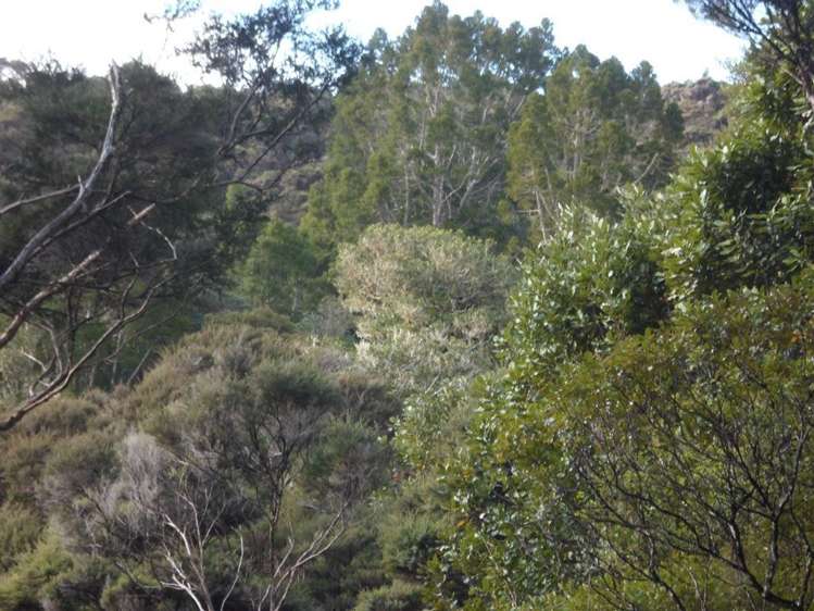 27 Omatai Road Peria_5