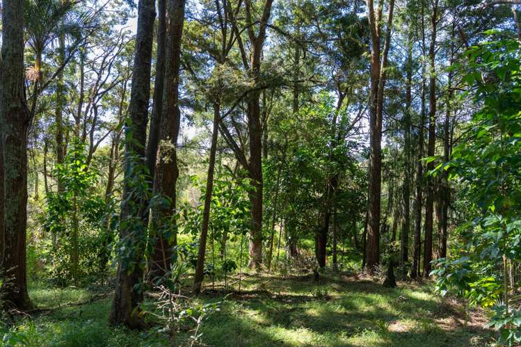 149 Whaka Street Maungaturoto_22