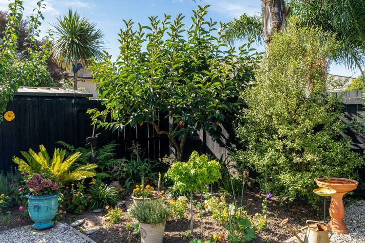 40 Pacific Cove Drive Papamoa_17