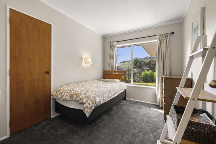 1058 Old Mountain Road Raglan_17