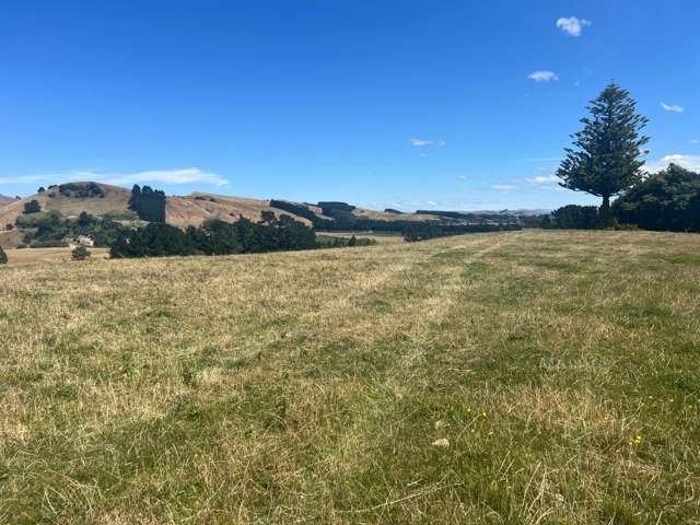 694 Cowper Road Dannevirke_3