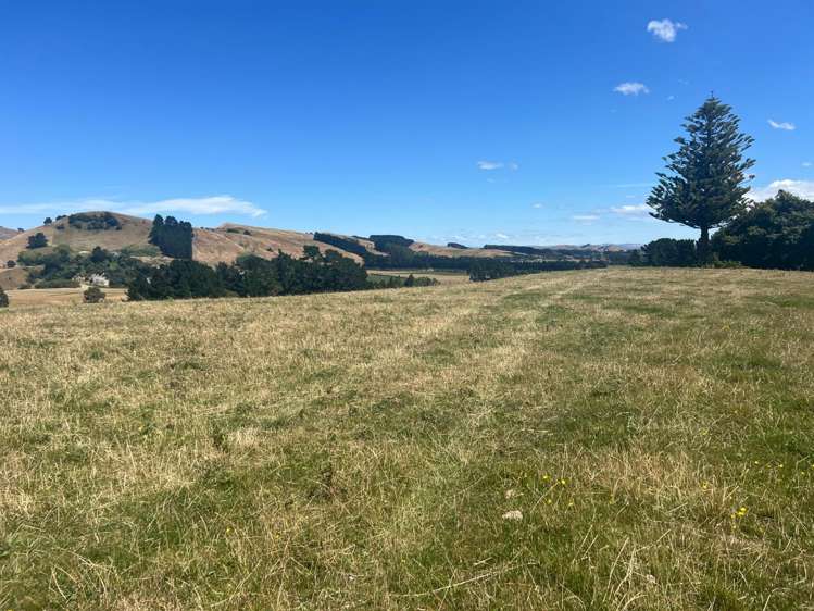 694 Cowper Road Dannevirke_3