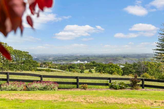 294 Razorback Road Pokeno_3