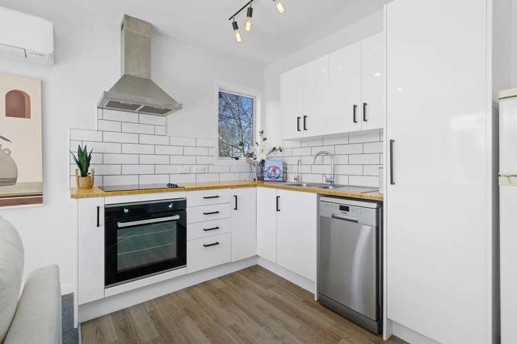 96b Williams Street Cambridge_9