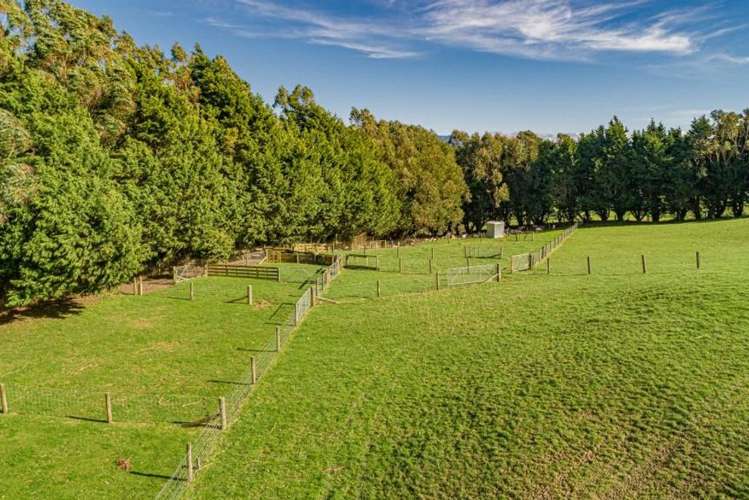 134 Bowen Road Eketahuna_8