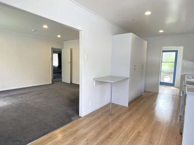 1 Athena Drive Totara Vale_3