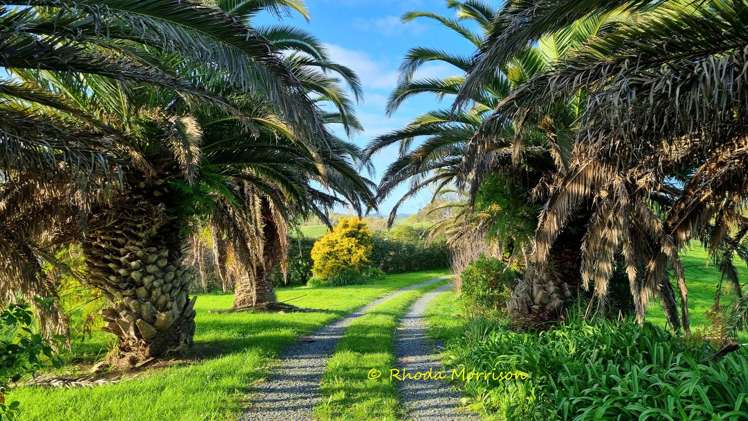 224A Petley Road Paparoa_11