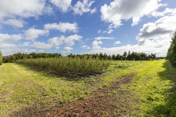 69 Matarikoriko Road Waitara_16