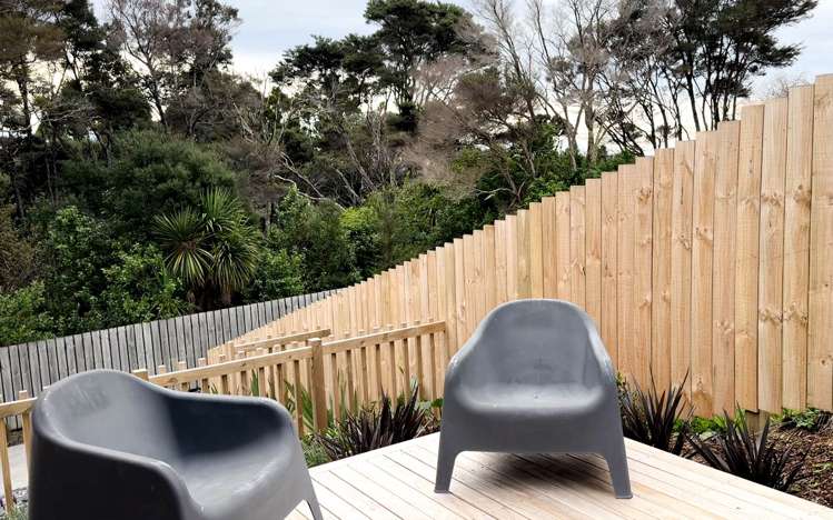 11 Ti Tree Lane Stanmore Bay_4