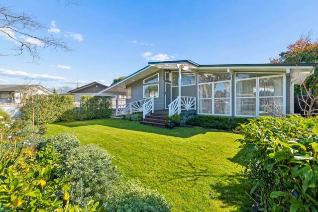 **Kiwi Living in the Heart of Conifer Grove**