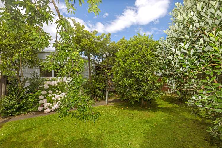 18 Oak Street Mangapapa_21