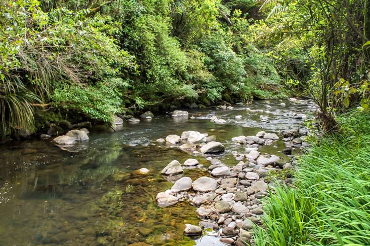 Upland Road Egmont Village_15