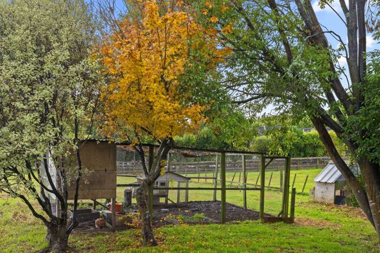 110 Colombo Road Waiuku_20