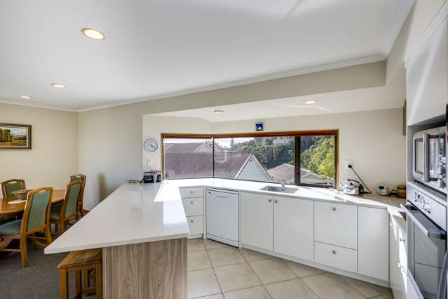 19a Roslyn Road Bluff Hill_4