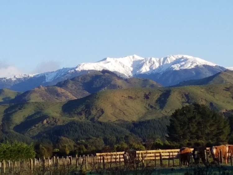 76 Jordan Road Carterton_19