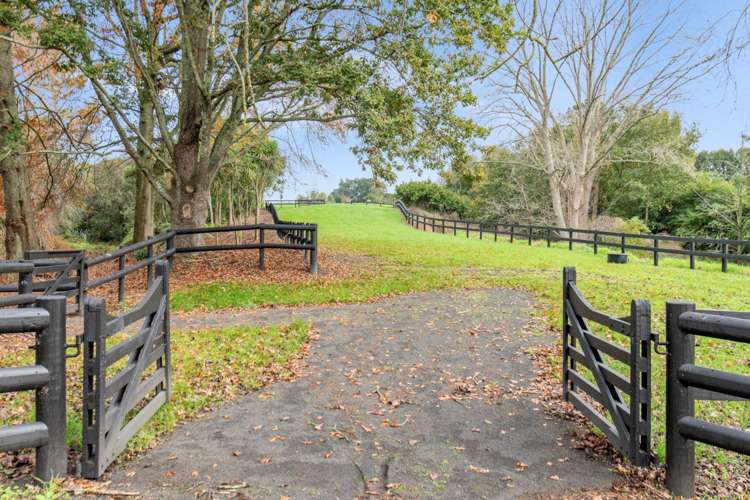 Woodlyn Drive_5