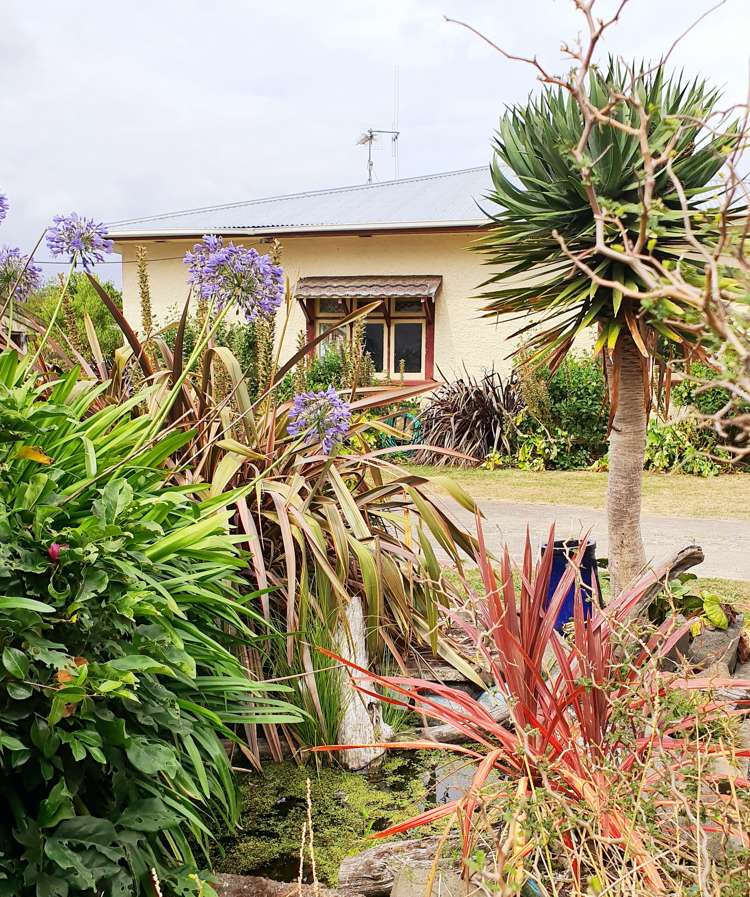 95 Cross Road Morrinsville_23