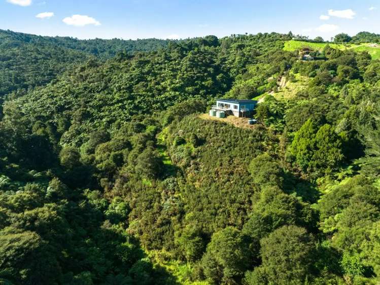 66 North Ridge Rise 11608_3