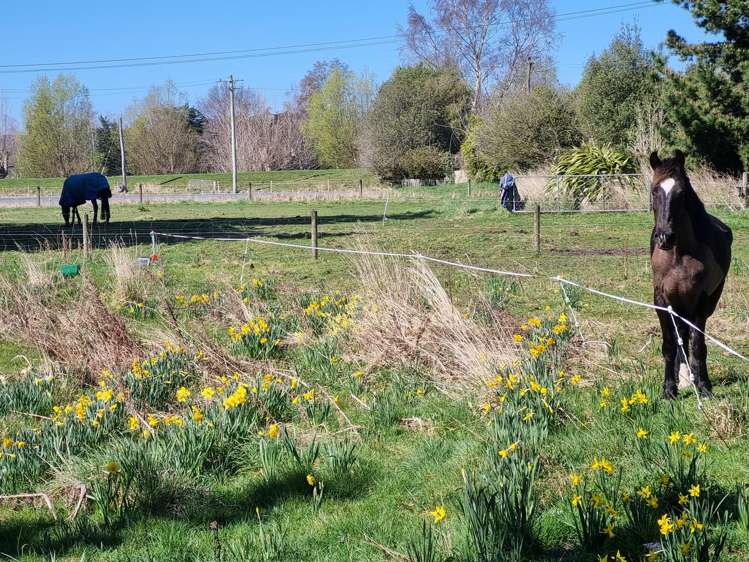 74 Riverbank Road Inch Clutha_22