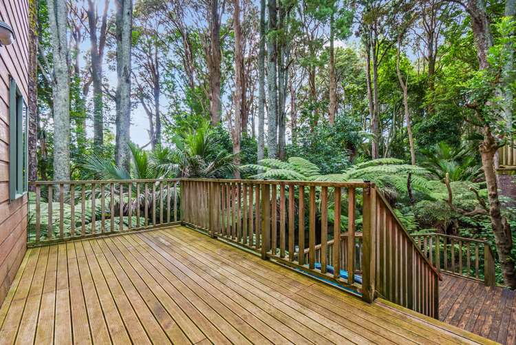 42 Collie Street Hillpark_6