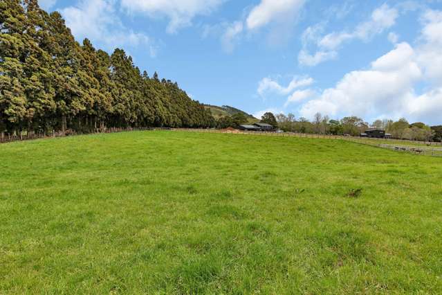 135 Apotu Road Kauri_4
