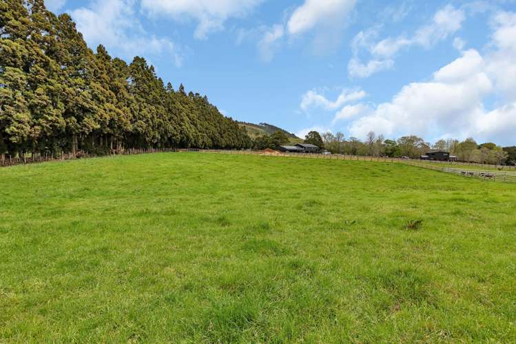 135 Apotu Road Kauri_4