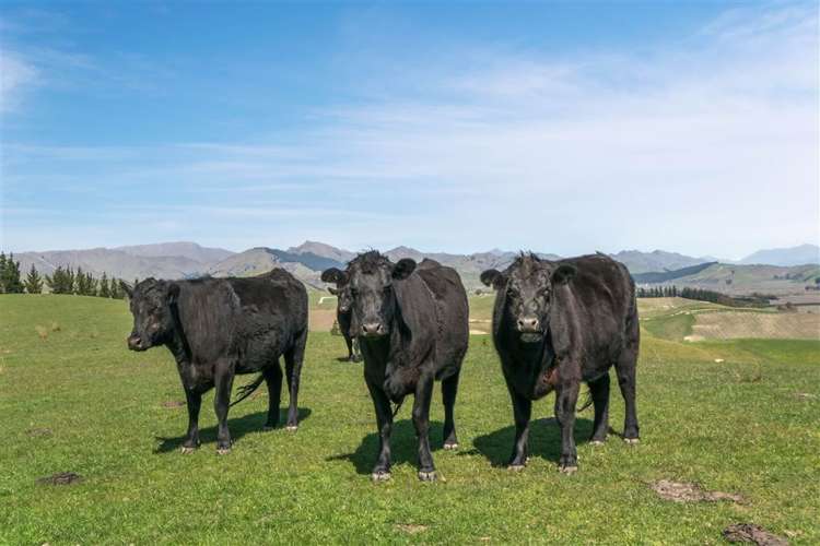 237 Brookby Road Hawkesbury_44