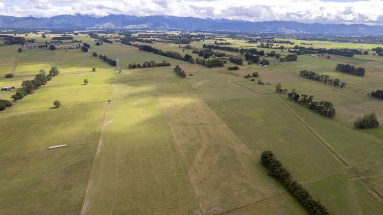 Cross Line Greytown_21