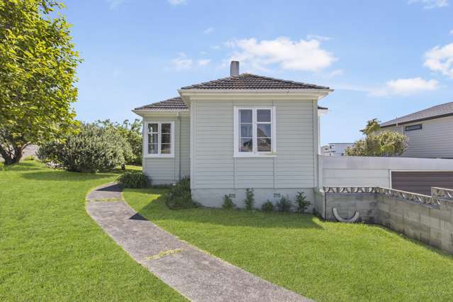 11 Sanft Avenue Mount Roskill_1