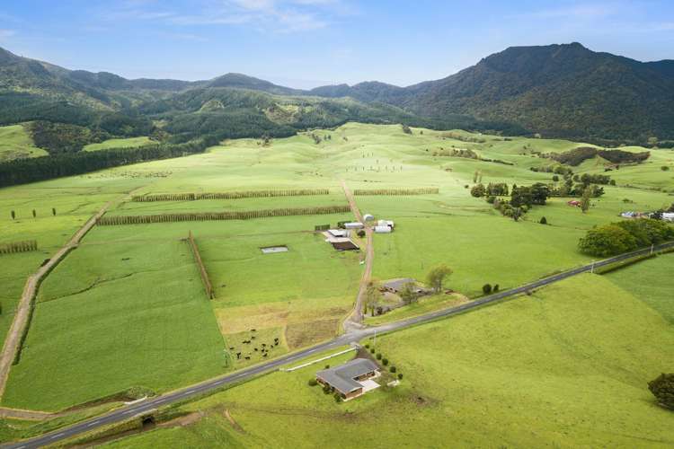 1369 Te Aroha-Gordon Road Manawaru_1