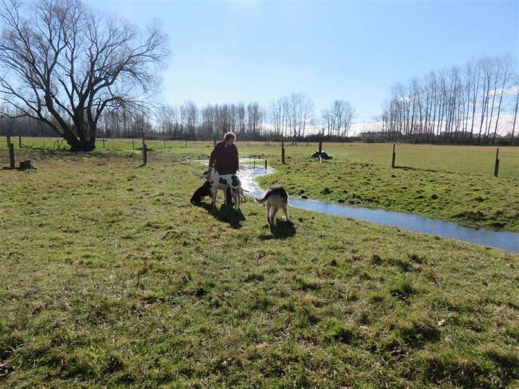 208 Woodbury Road Geraldine_14