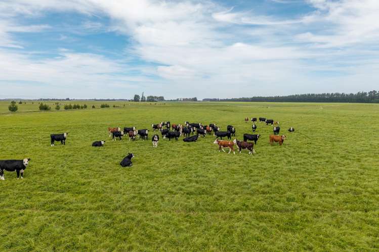 83 Highfield Road Dunsandel_10