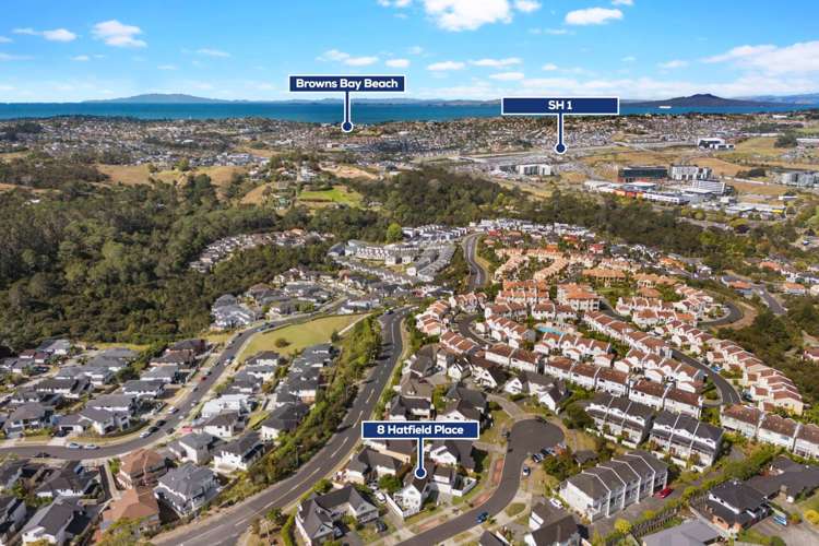 8 Hatfield Place Albany Heights_25