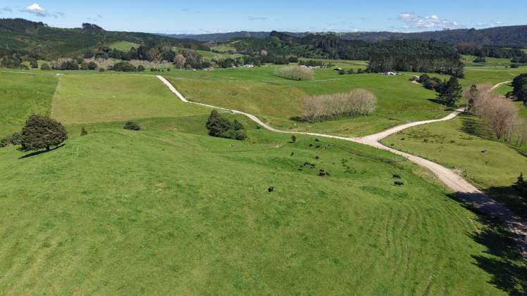 337 Mill Road Kawakawa_17