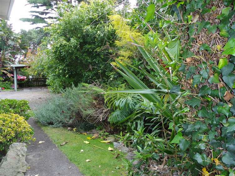 10 Sarjants Road Te Puru_26