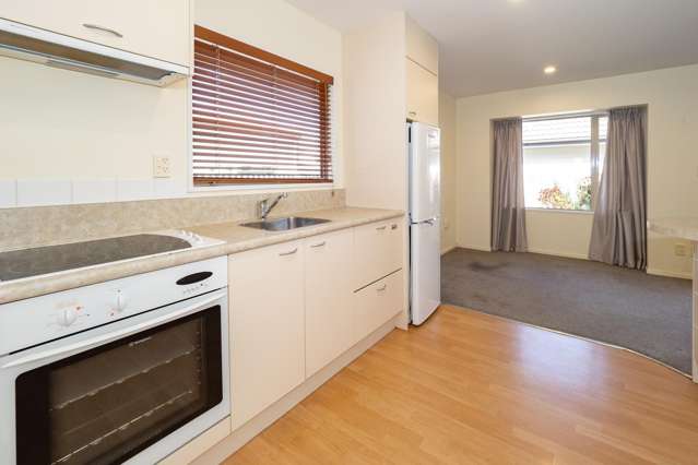 3/19 Tancred Street Ashburton_2