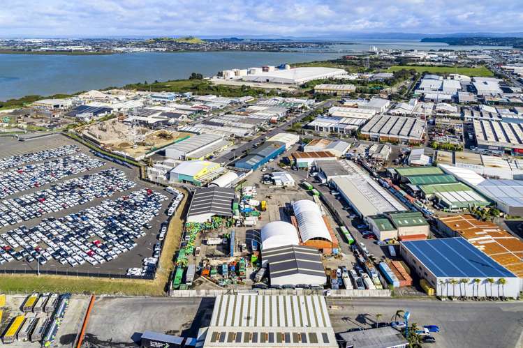 7 Edinburgh Street Onehunga_5