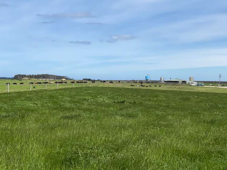 491 Waituna Gorge Road Wyndham Surrounds_0