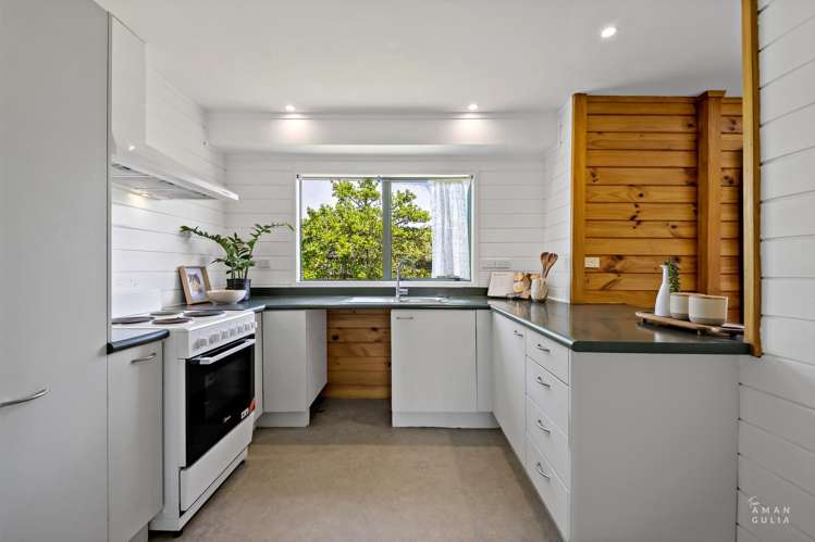 51 Wingate Street Avondale_5