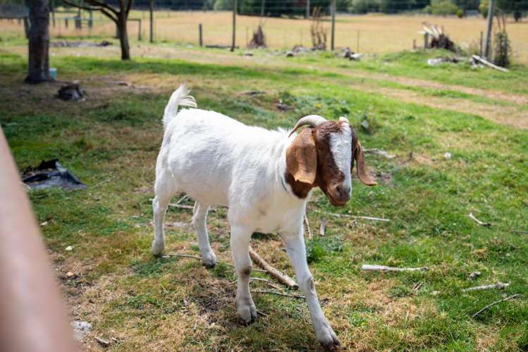 3 Lockharts Road Waitahuna_24