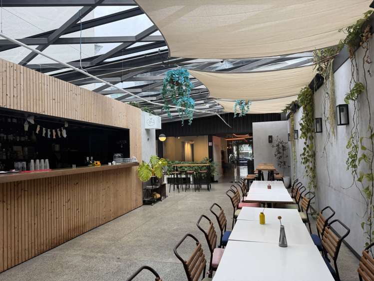 5 Rose Road Grey Lynn_2
