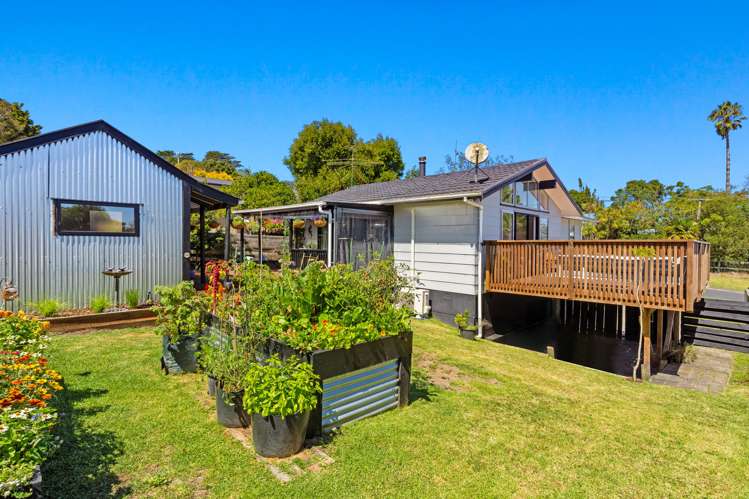 12 Downer Street Helensville_12