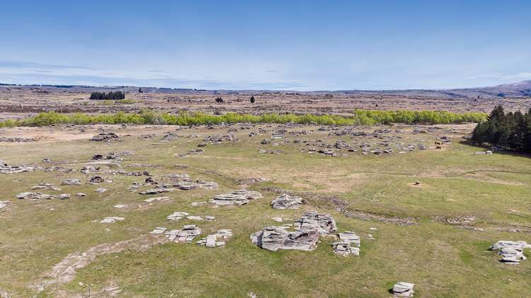 5622 Middlemarch-Sutton Road Middlemarch_21