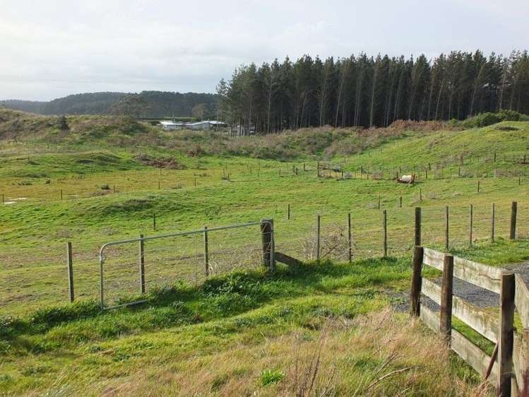 9a Andrews Street Foxton Beach_34