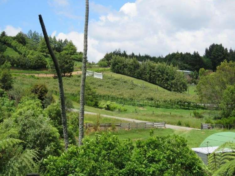 358b Lockington Road Aongatete_7