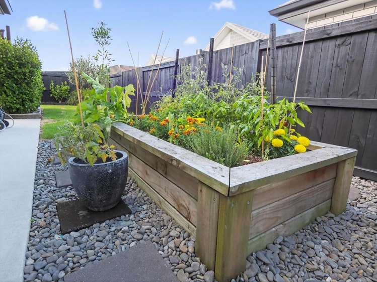 12 Te Kio Crescent Papamoa_30