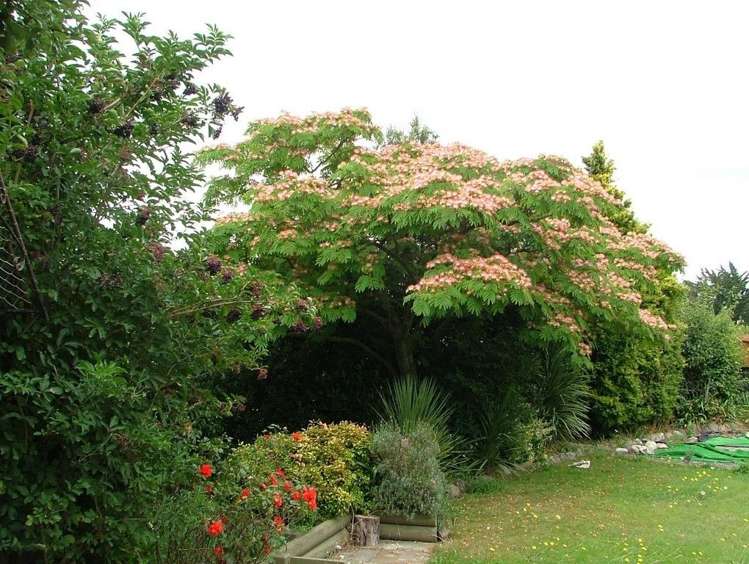 97 Main Street Oxford_1