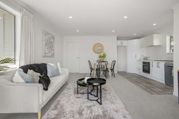 317 Oxford Terrace Avalon_13