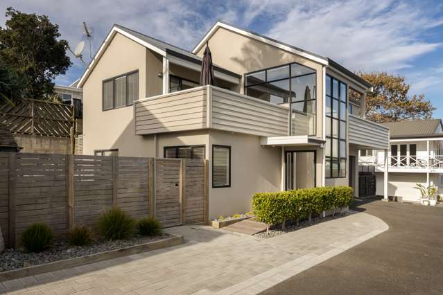 24b Terrace Avenue Mount Maunganui_3